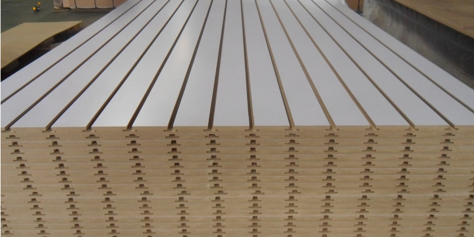 slotted MDF.jpg